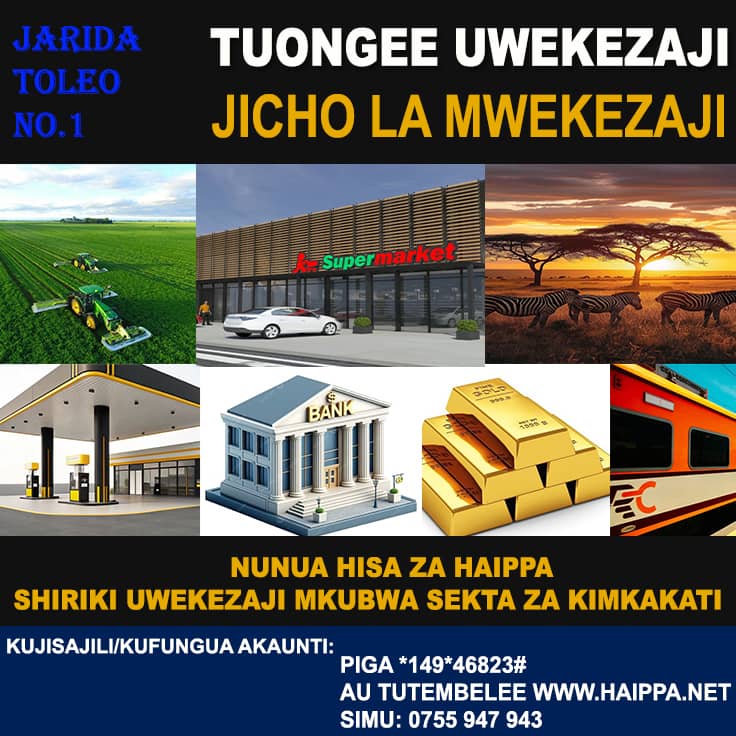 UNAMILIKI HISA NGAPI ZA HAIPPA?